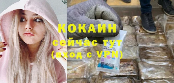 твердый Майский