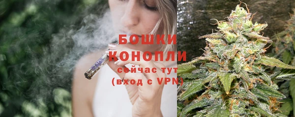 молекула духа Магас