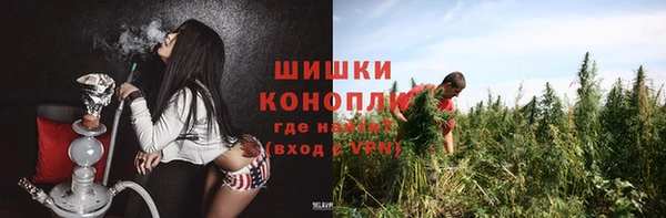 молекула духа Магас