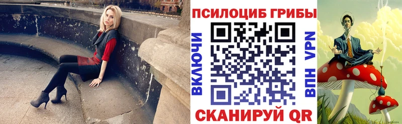 как найти наркотики  кракен ТОР  Галлюциногенные грибы Cubensis  Всеволожск 