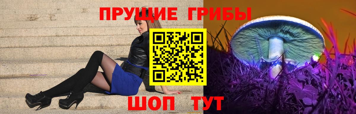Псилоцибиновые грибы мухоморы  Вход с VPN  Всеволожск  Галлюциногенные грибы ЛСД 